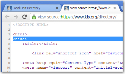 head tag via view source (plain).JPG
